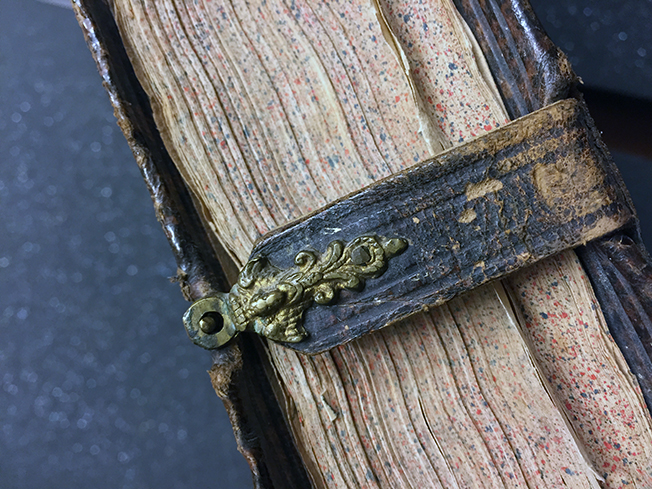 foto av ett boksnitt över vilket ett spänne i metall på en läderrem är knäppt